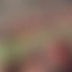 Etnia Jingpo: guardianes de la tradición en las montañas del suroeste de China