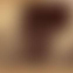 Gideon Nye Jr.: el comerciante estadounidense que se convirtió en el primer cónsul honorario de Chile en China