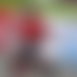 Robot chino vence al récord humano en media maratón de Beijing y sorprende al mundo