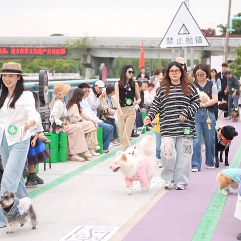 Trajes, glamour y aplausos: así fue la increíble Fashion Week para mascotas en China