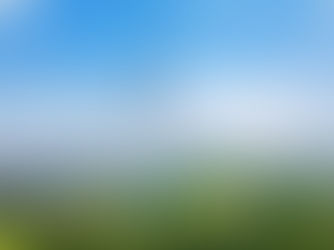 La revolución verde de China: el auge de las energías renovables