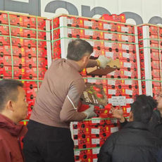En  cinco semanas llegan casi 2.000 toneladas de cerezas chilenas a Shanghai