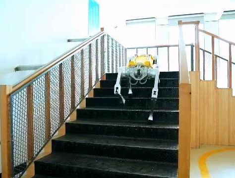 Robot cuadrúpedo chino establece récord Guinness en 100 metros lisos