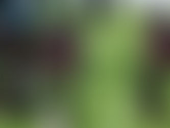 China preparar el primer partido de fútbol entre robots totalmente autónomos del mundo