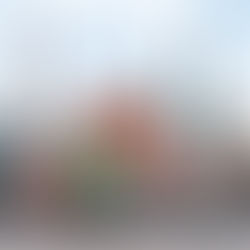 China acelera su apertura global: plan multisectorial busca atraer turistas, estudiantes y consumidores internacionales