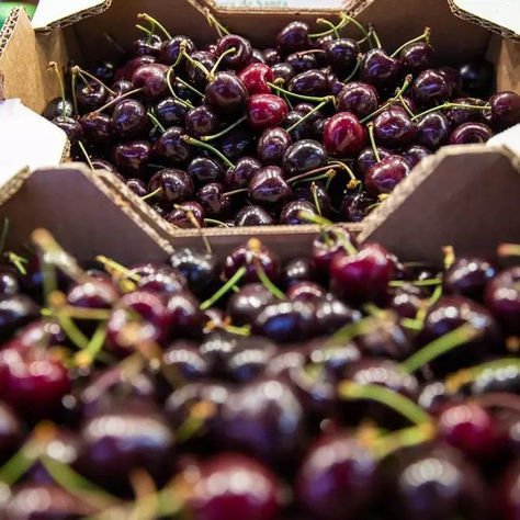 España ya puede vender sus cerezas en China tras lograr el visto bueno definitivo de Beijing