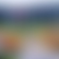 Un microcosmos de apertura económica: La CIIE se convierte en una vitrina para el mundo