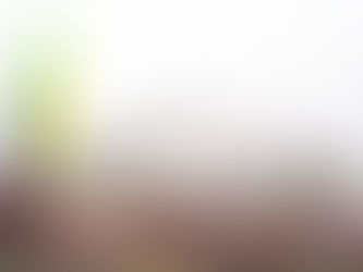 Adora Flora City, el segundo gran crucero de fabricación china, hará su debut en Guangzhou