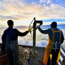 La pesca china y el otro juego del calamar