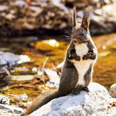 China Hoy: El avance de Beijing en biodiversidad