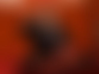 Primer ministro chino celebrará diálogo "1+10" con jefes de principales organizaciones económicas internacionales