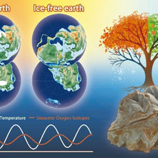 Científicos descifran el código de invernaderos del Cretácico Temprano escondido en fósiles de 140 millones de años