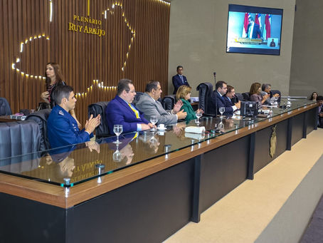 Defensoria prestigia entrega de Medalha Ruy Araújo a desembargador Anselmo Chíxaro