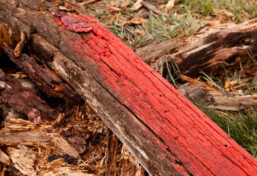 40 IMG_8834 copia.jpg