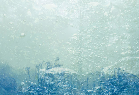 07 140x110_MG_5342.jpg