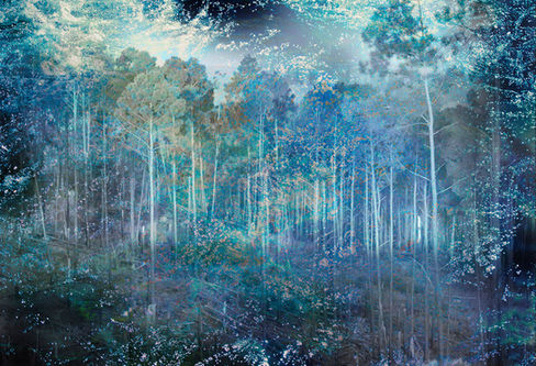 19 Arqueologia forestal.jpg