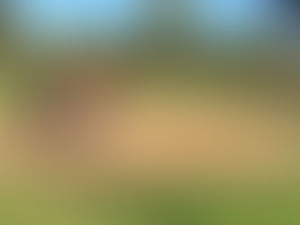 Bucs Shutout By Eagles Despite Nine Hits 