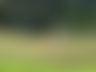 SBL Bucs Improve Postseason Standing with 4-3 Win