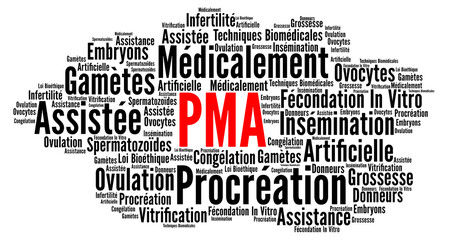 Carte visuelle sur la PMA avec mots clés : stimulation, FIV, insémination, don, transfert embryonnaire, cryoconservation, émotions, résilience.