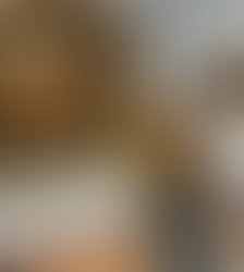 Les latinistes au Musée des Beaux-Arts de Pau