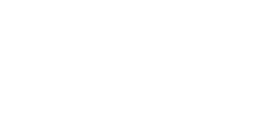 Website Title White (logo only).png