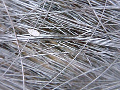 IMG-20210617-WA0029.jpg