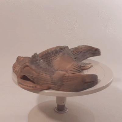 Devons-22.gif