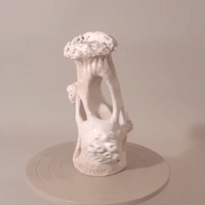 Perf-koralis-2.gif