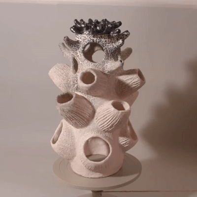 Perf-koralis1.gif