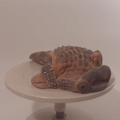 Devons-21.gif