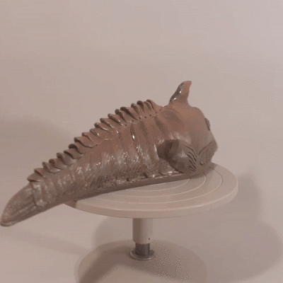 devons-10.gif