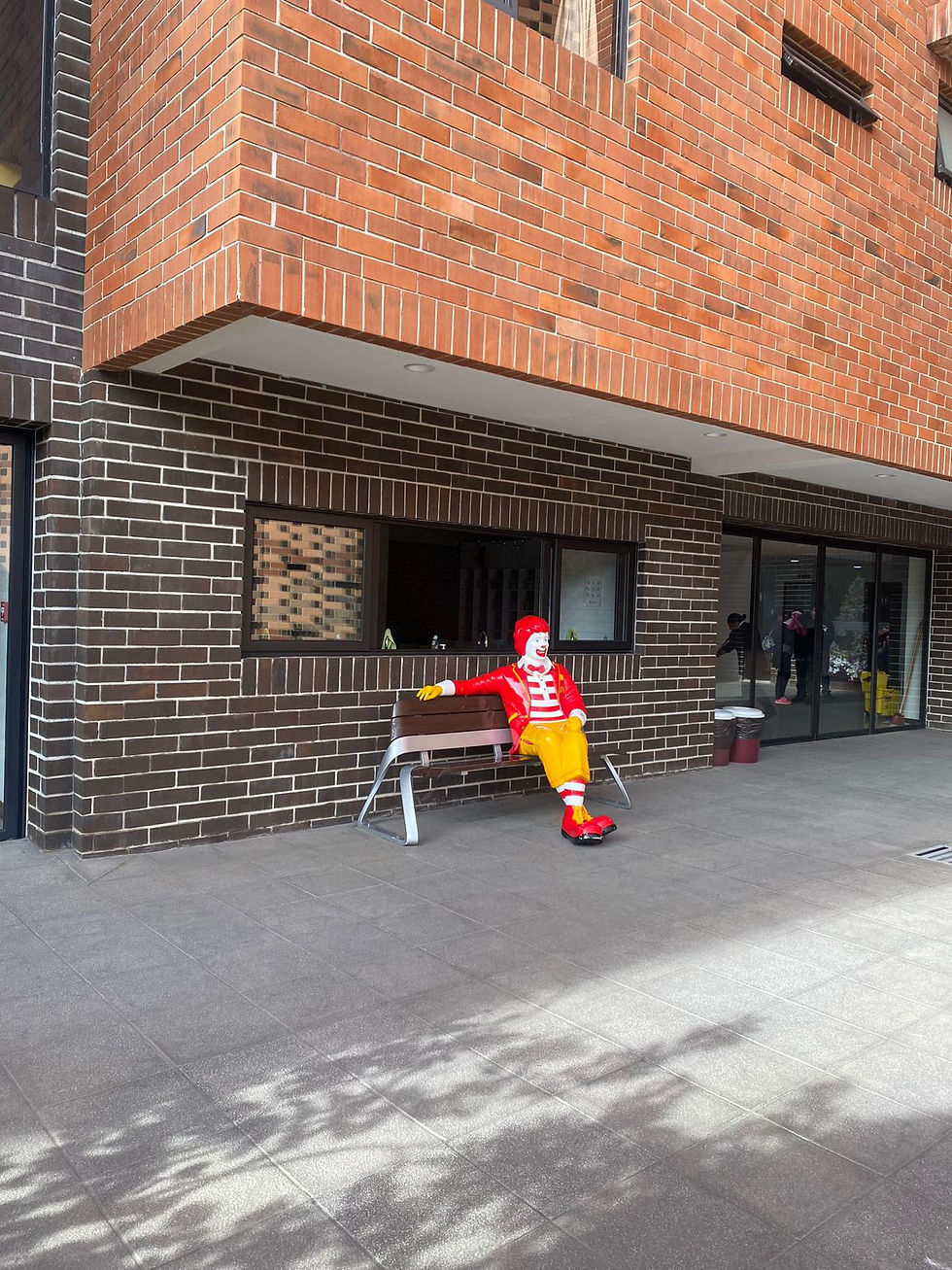 Casa Ronald