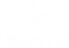 Nuevo-logo-Irant.png
