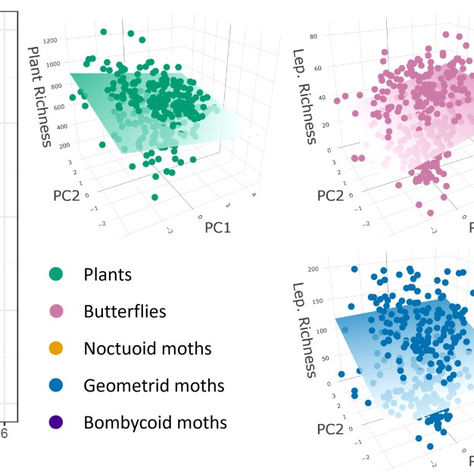 Associating the structure of Lepidoptera-plant interaction networks across clades and life stages to environmental gradients