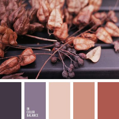 Autumn is upon us!