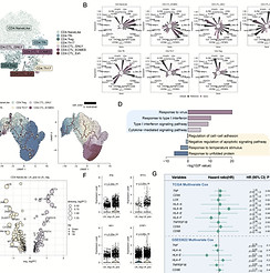 Sem título_edited.jpg