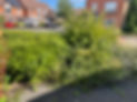 image00086.jpeg