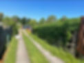 image00544.jpeg