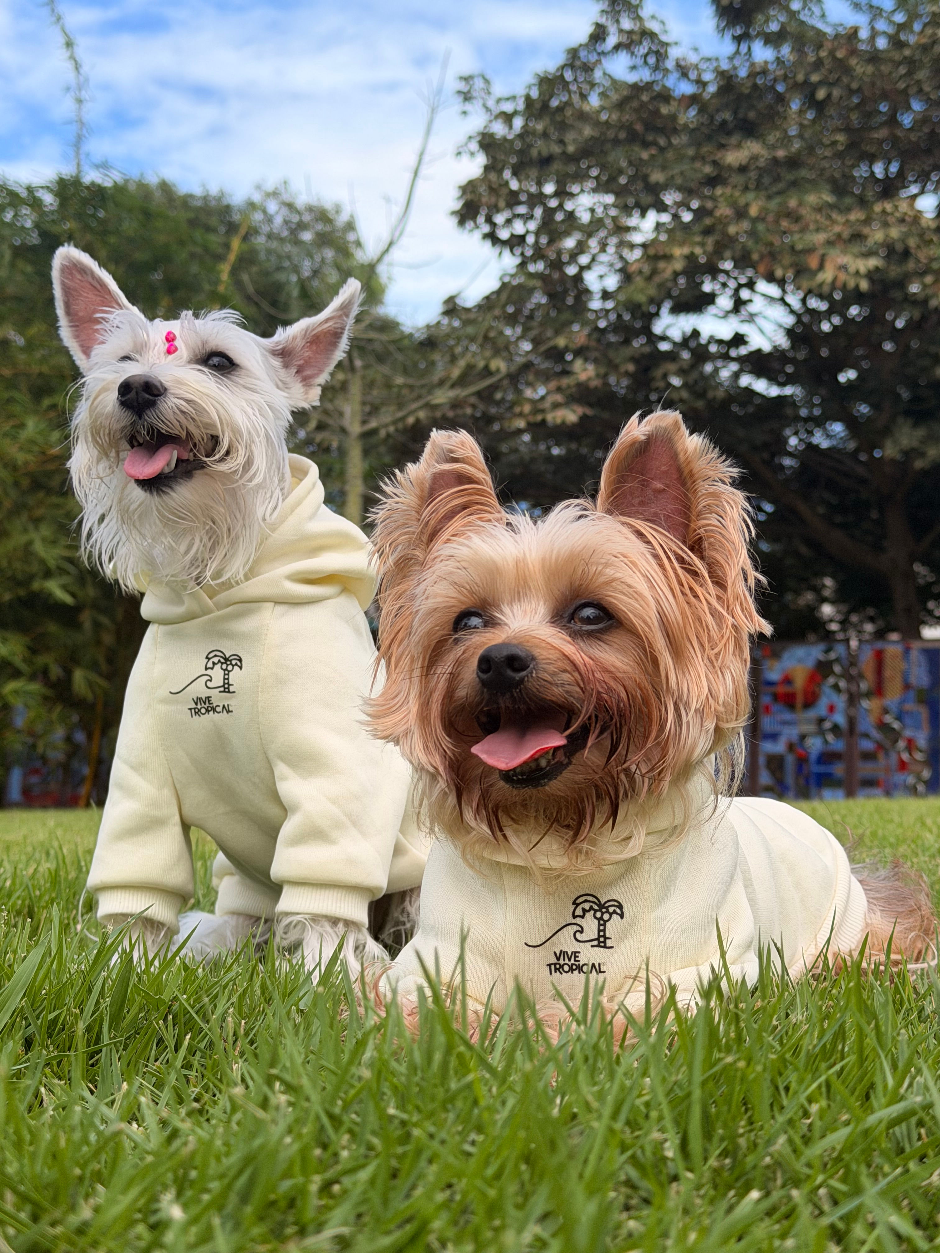 Ropa de Perro Tropical