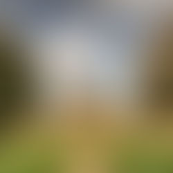 How to go to Oxford as an Indian Student