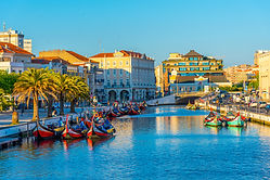 adobestock-dudlajzov-aveiro.jpg