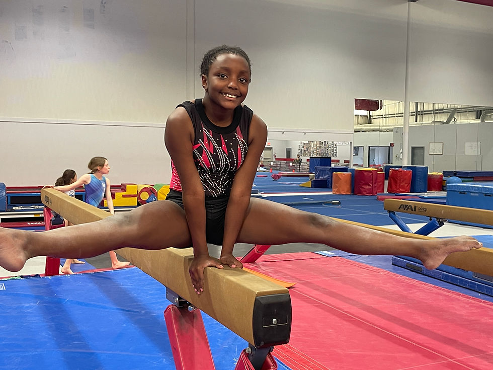 VIGS Gymnast on Beam