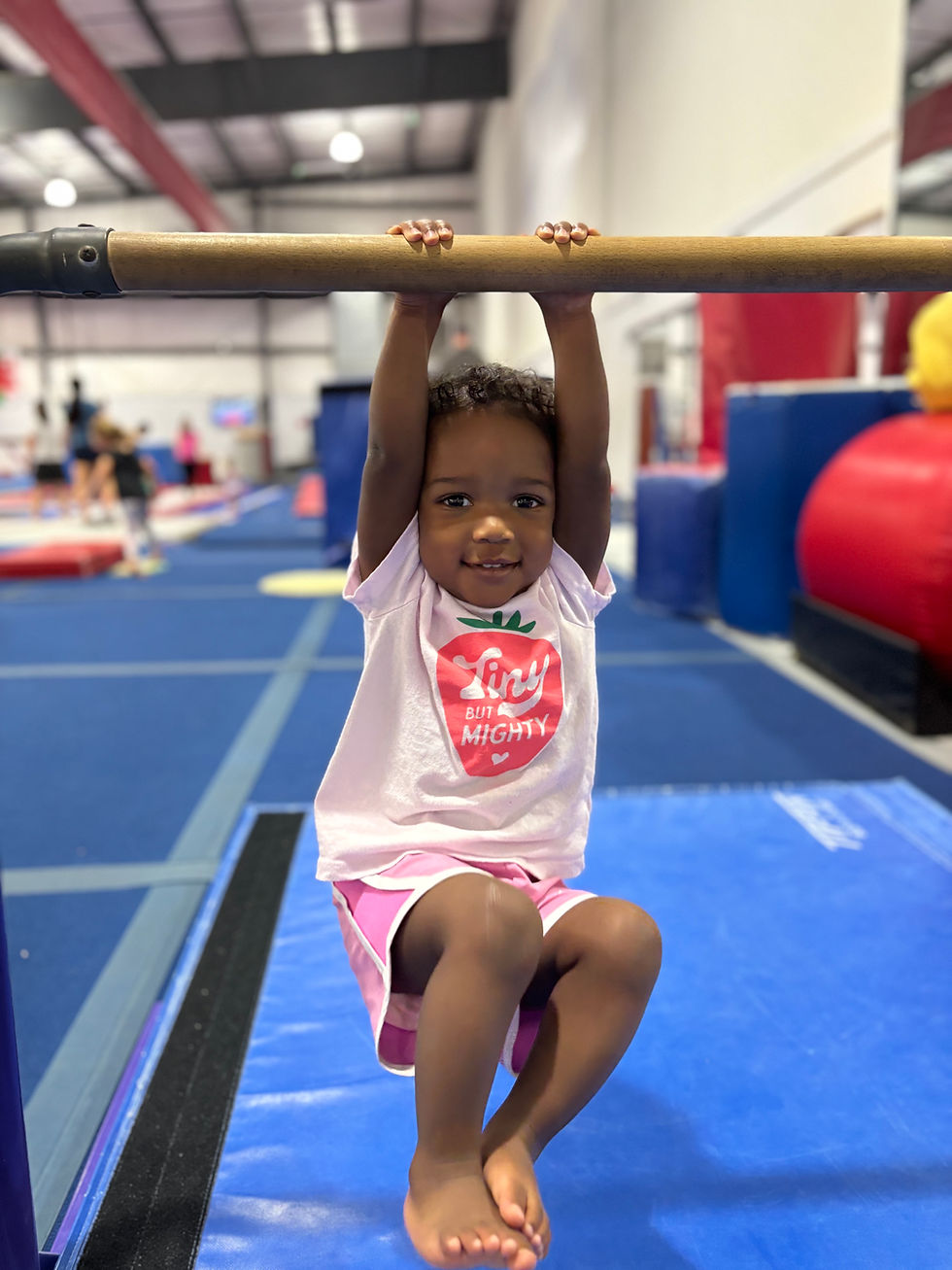 VIGS Gymnast in Recreational Classes
