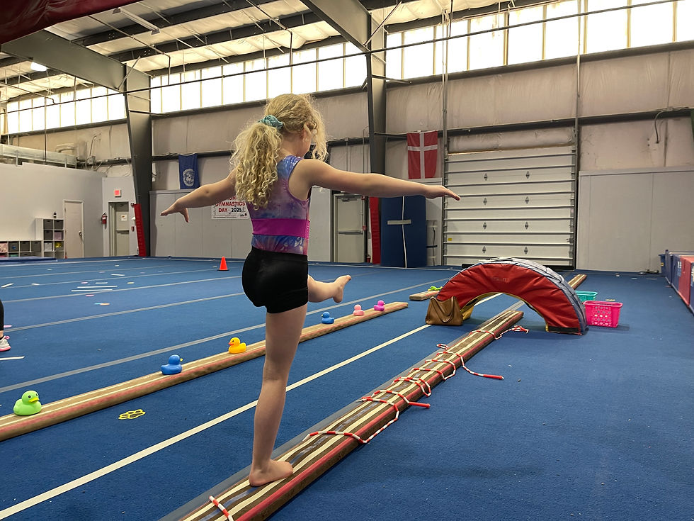 VIGS Gymnast on Beam
