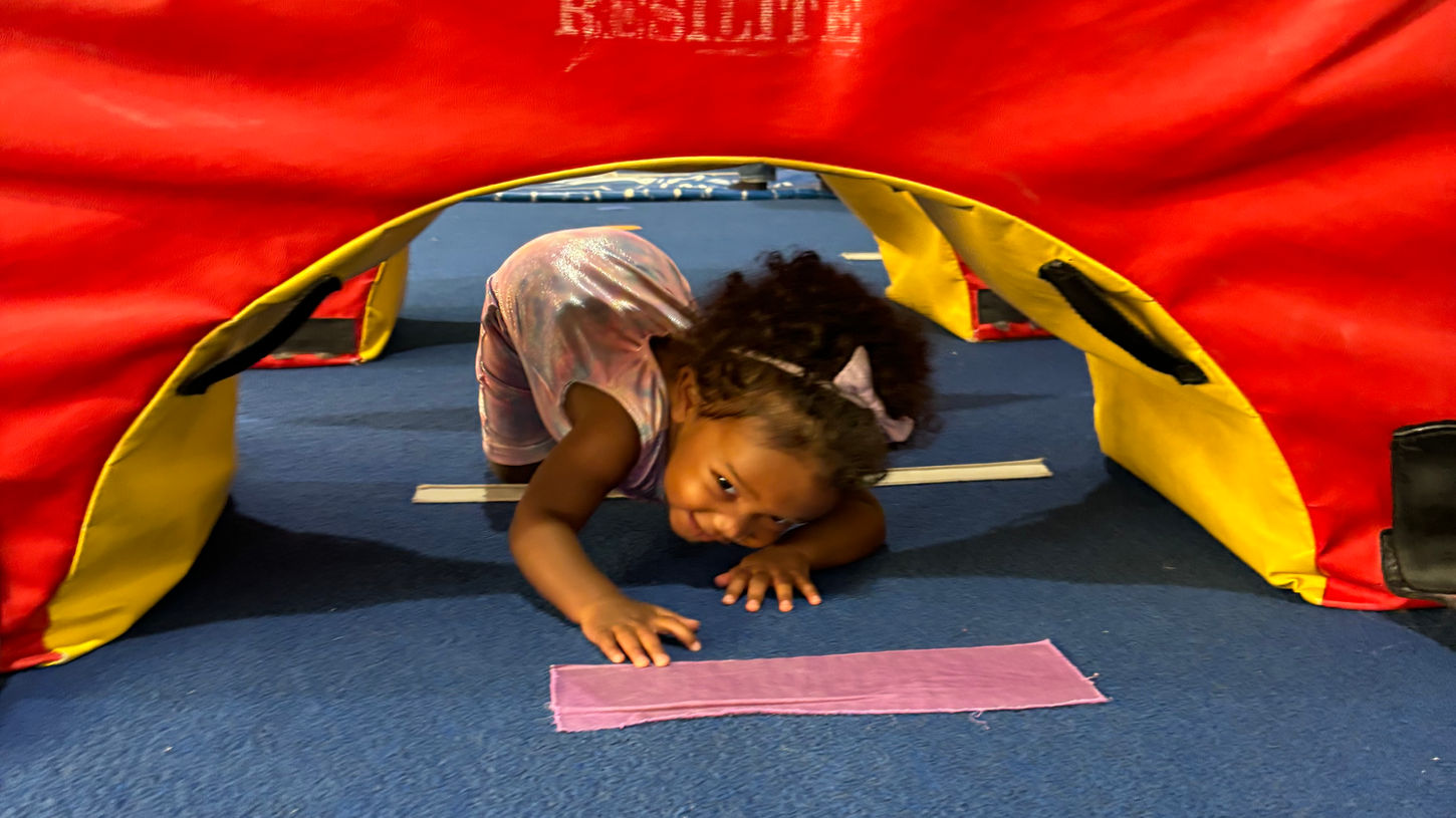 Recreational gymnast