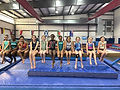 Gymnasts on Beam