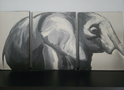 Elephant Acrylic Canvas