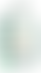 w/c Monday 16th November