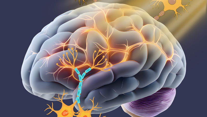 A desregulação dos ritmos biológicos na vida moderna e seus efeitos na saúde física e mental