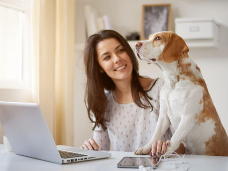 Trabalhar em casa é um desafio, mas está dominando o mercado